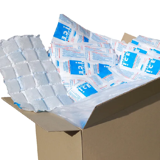 428 (1 carton) Techni Ice STD 2 PLY Disposable Dry Ice packs