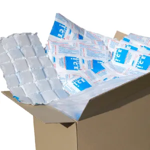 428 (1 carton) Techni Ice STD 2 PLY Disposable Dry Ice packs