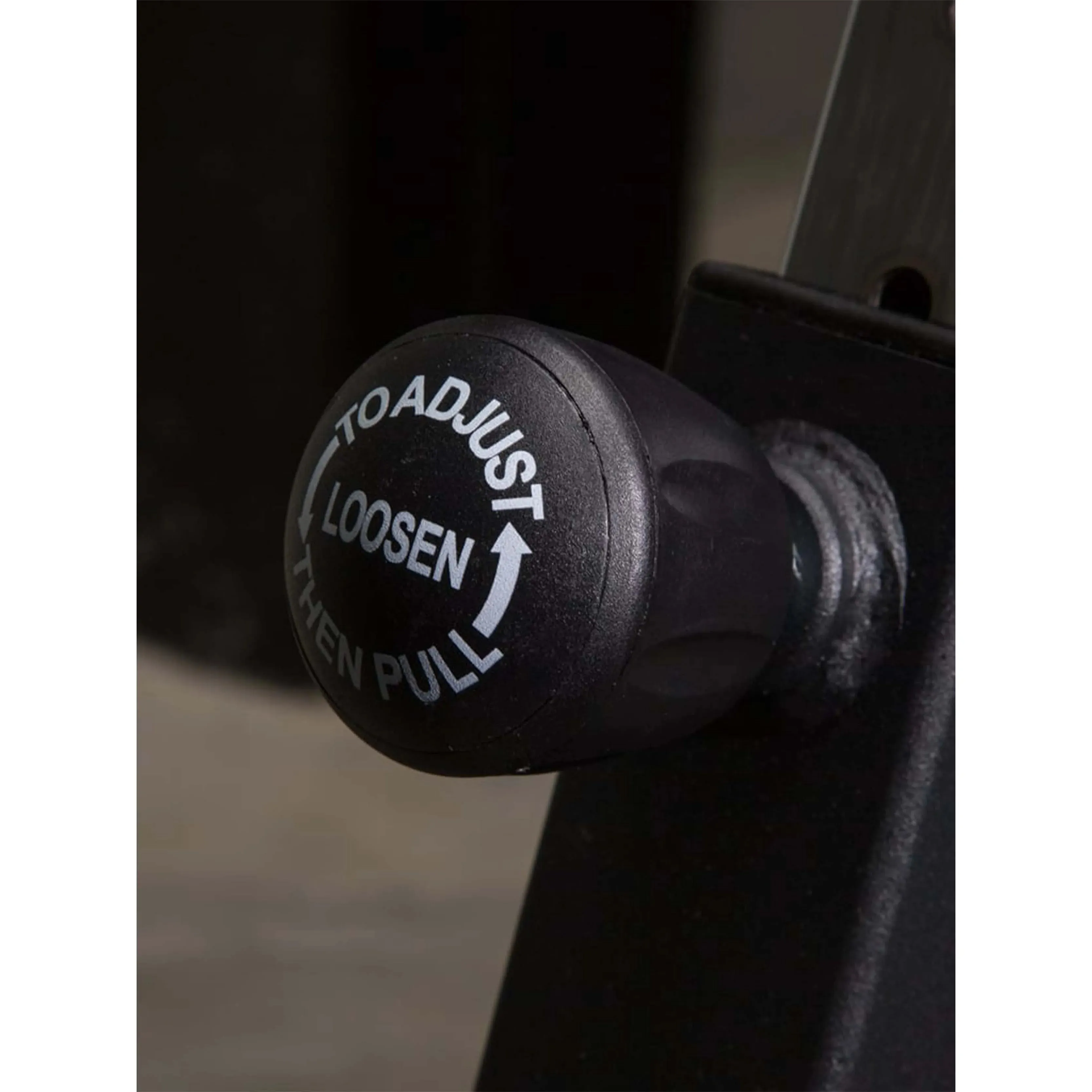 Rogue Echo Bike V3.0
