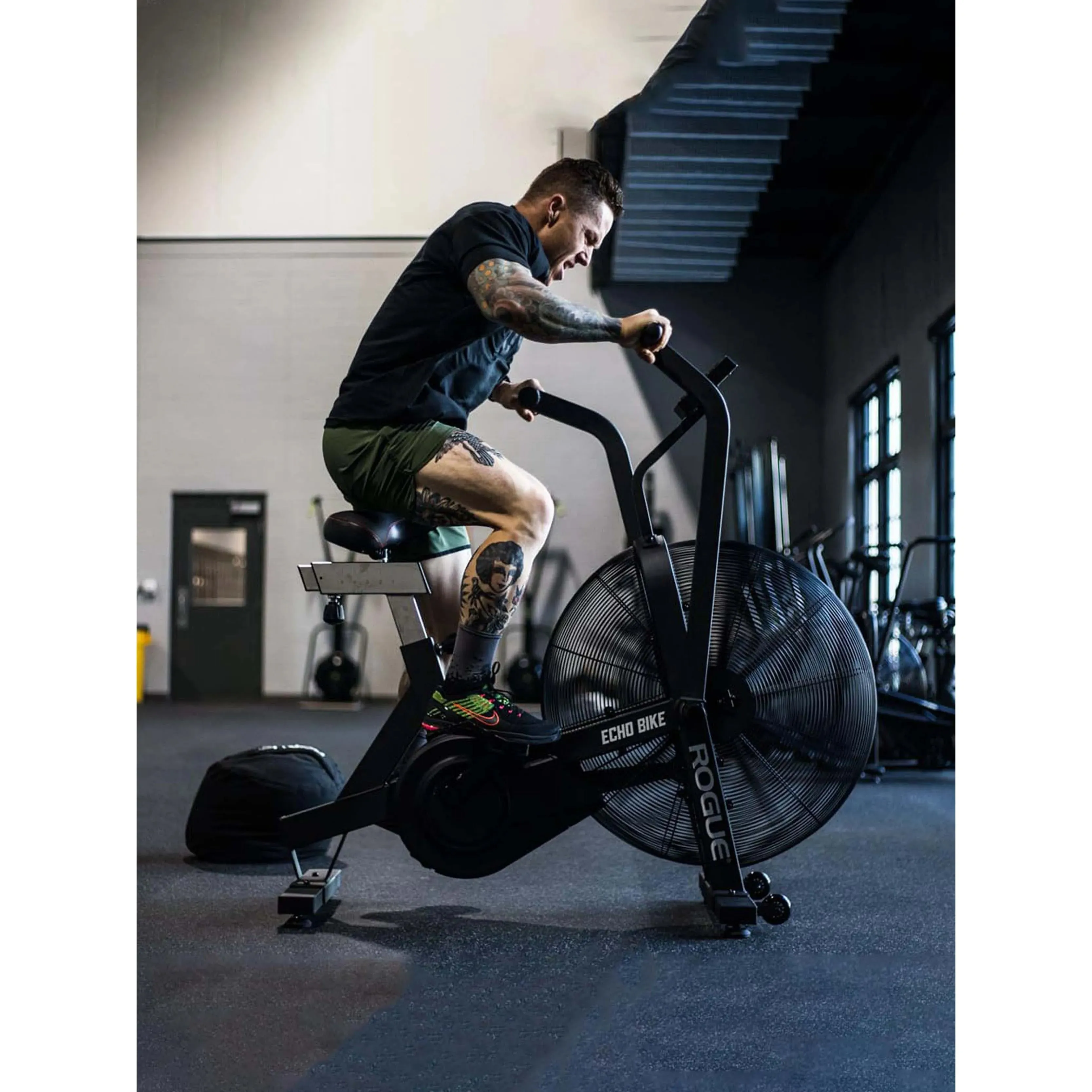 Rogue Echo Bike V3.0